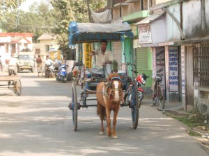 A horse-drawn carriage in Murshidabad