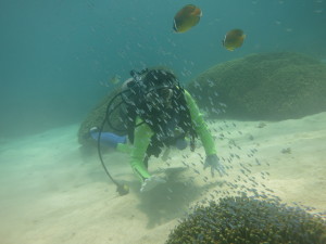 Diving off Yoron island in Japan