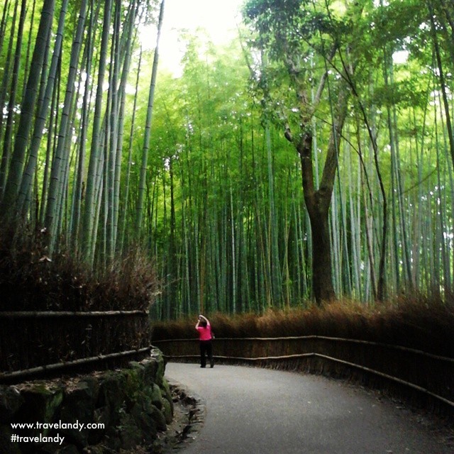 The Arashiyama bamboo grove near Kyoto is among Japan's most recognisable places. We have enough bamboos back home. How come we dont market it this way?