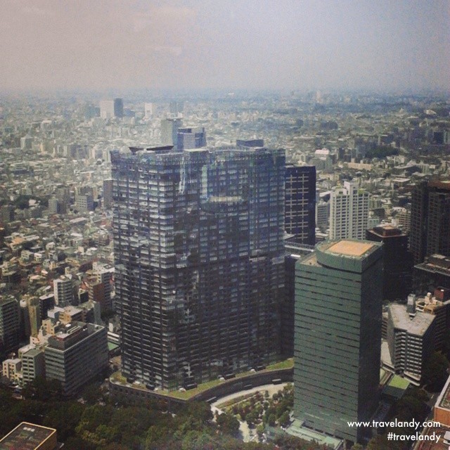 Tokyo skyline. You can see Mt Fuji from this 45th floor observatory on a clear day