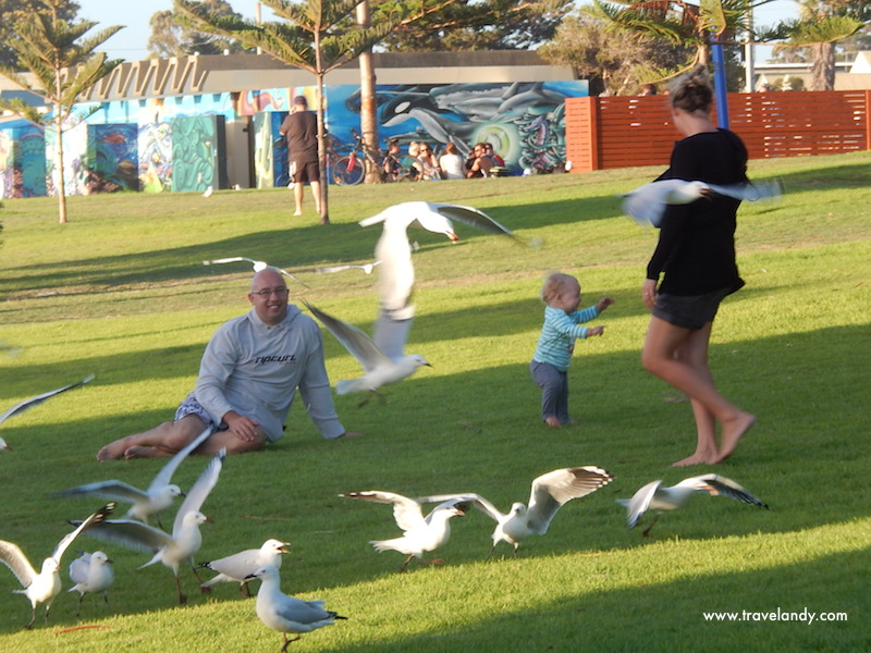 At the park beside Freemantle South Beach