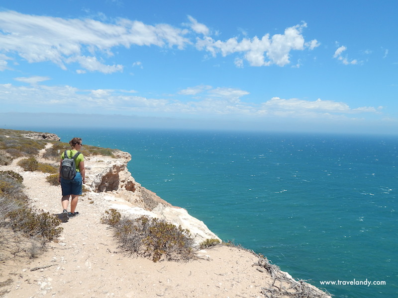 Who's up for a hike?