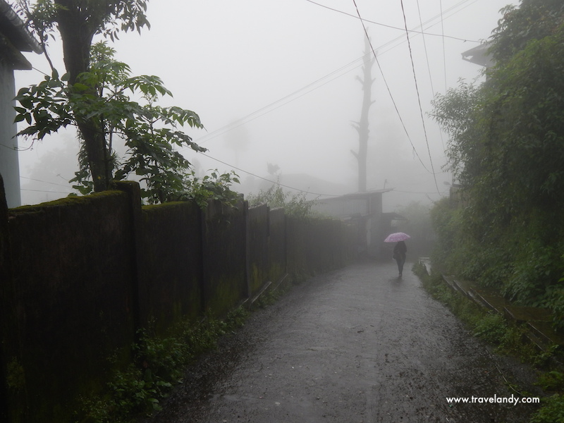 Drizzly and misty Darjeeling