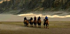 A camel ride in the desert. Picture taken by Swagata Basu.