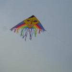 South India kite festival from Jan 16