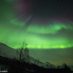 Why you should do an Aurora tour in Tromsø