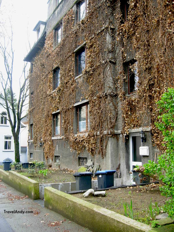 Ivy-covered old house with automatic lights in front