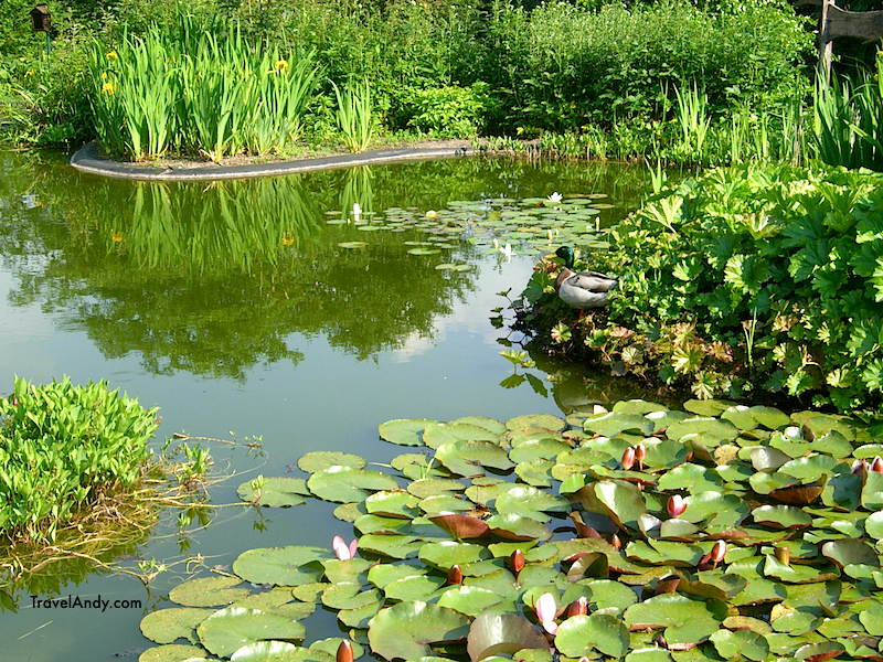 The botanical garden in Wuppertal