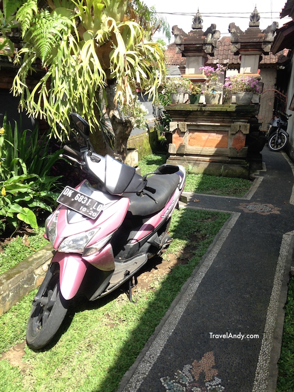 Yea, this pink beauty is one of the scooters I'd rented during my trip