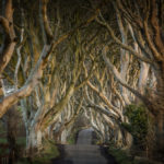 350K Game of Thrones fans visited Northern Ireland in 2018