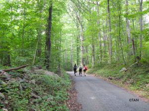 Shenandoah National Park