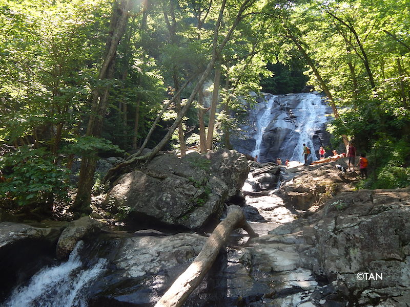 Shenandoah National Park