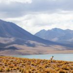 Four ways to save money while on a holiday in Chile