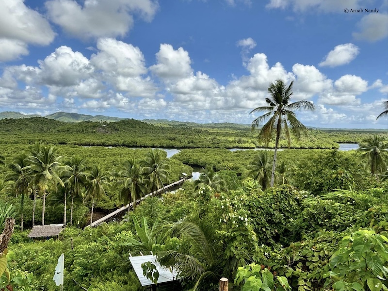 Mangrove forests in Siargao.