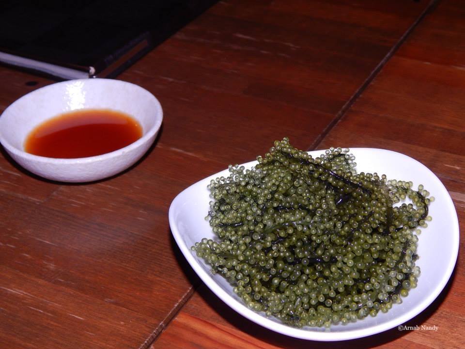 Umibudo, sea grape.