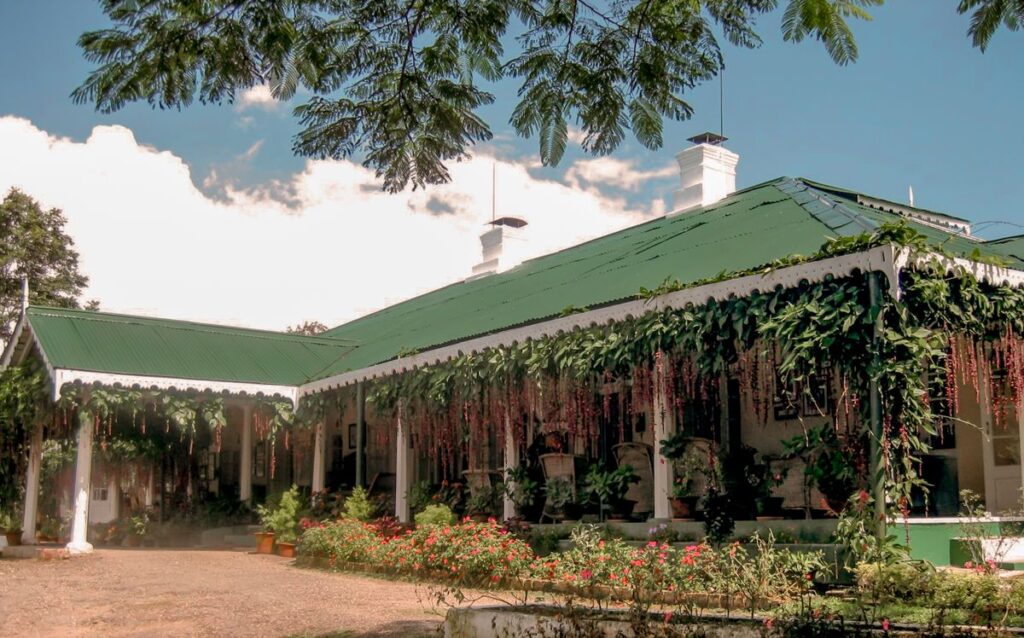 tea estate
