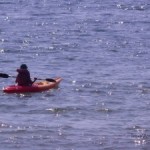 Water sports galore at Tehri lake fest