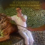 Furore over tiger poke video
