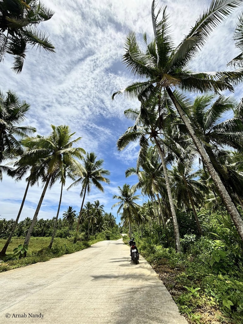 Motorcycle on road lined by coconut trees